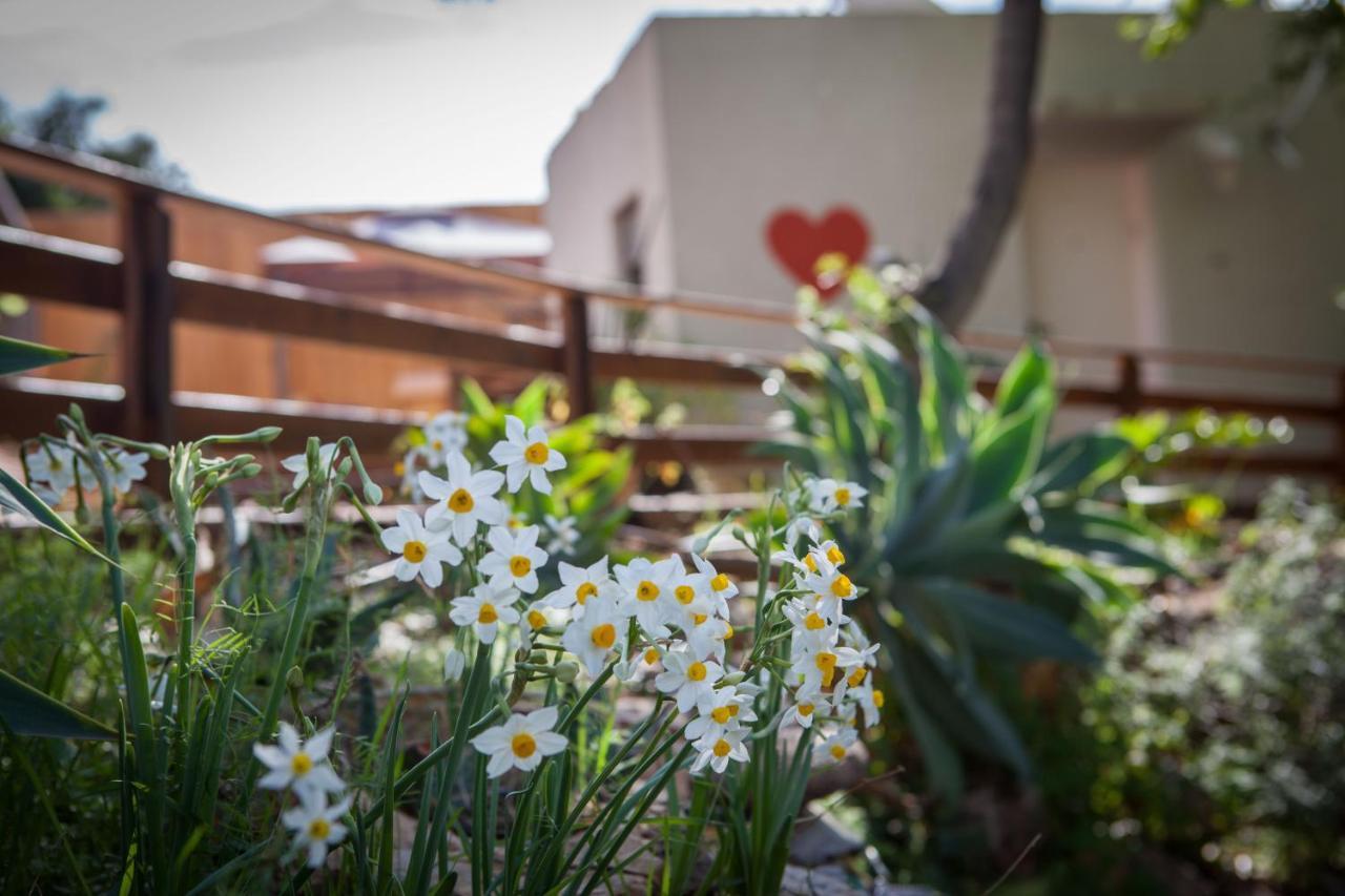 Connected Guest House Amirim Ngoại thất bức ảnh