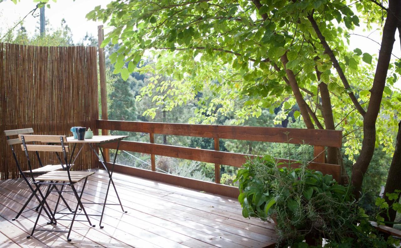 Connected Guest House Amirim Ngoại thất bức ảnh